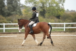 SBM_001377