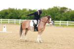 SBM_006409
