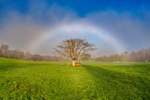 z4419 Fogbow over Big Mead in Shanklin