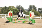 SBM_002046