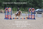 BPP_8078
