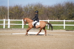 SBM_001985