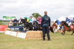 SBM_09982