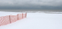 SAND FENCE, DECEMBER - LONG POINT BEACH