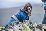 Matterdale-448