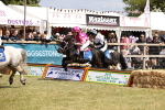 SBM_16614