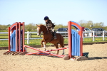 SBM_000644