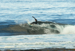 DSC_5651