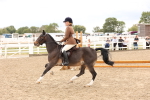 SBM_06203