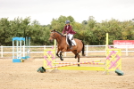 SBM_022906