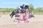 BPP_6513