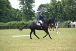 WJ6_5787