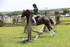 JPP_2404