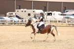 SBM_001074