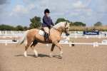 SBM_04015