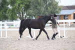 SBM_23089