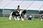 SBM_12179