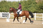 SBM_009764