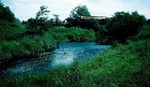 10th June 1992