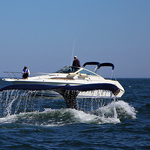 Humpback Whale Megaptera novaeangliae Blue Rae