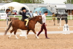 SBM_01078