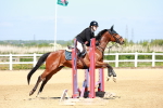 SBM_007006