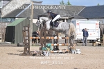 BPP_3111