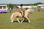 SBM_10196