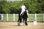 SBM_007874
