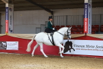 Class 106 - Ridden Costume - Side Saddle portfolio