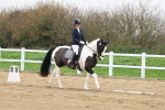 SBM_006807