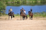 WJ6_7765