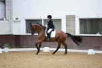 SBM_014995