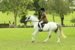 SBM_69921