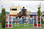 EQUISCOT 9315