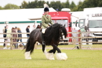 SBM_06221