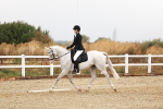 SBM_001603