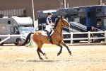 SBM_001780