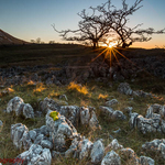 Low Sun at Southerscales