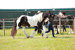 SBM_08757
