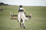 BVHT 140517  NXC -461