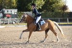 20261018-0154