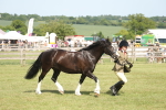 SBM_09235