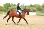 SBM_006530