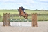 BPP_3356