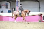 SBM_08732