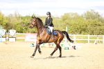 SBM_003633