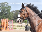 BPP_3657