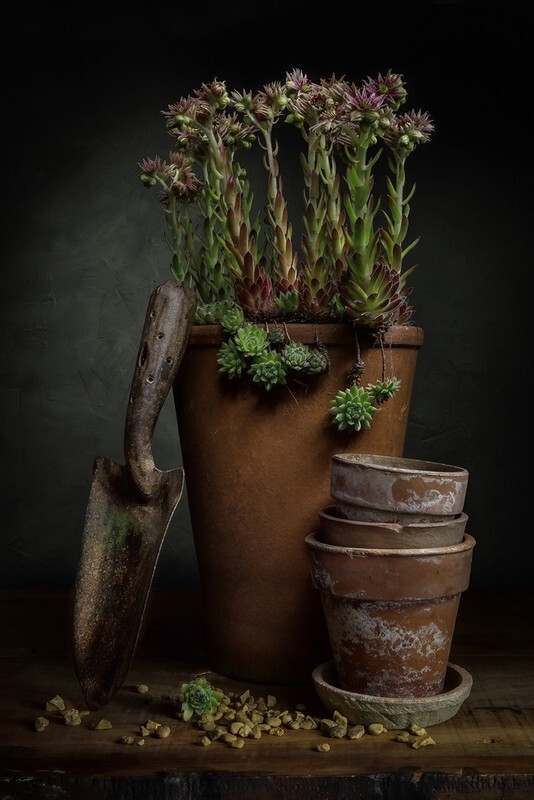 The Vintage Trowel