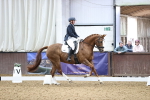 SBM_006087